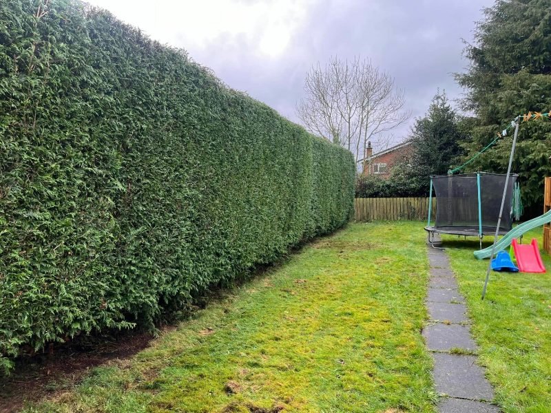 Crown Reduction in Gosport