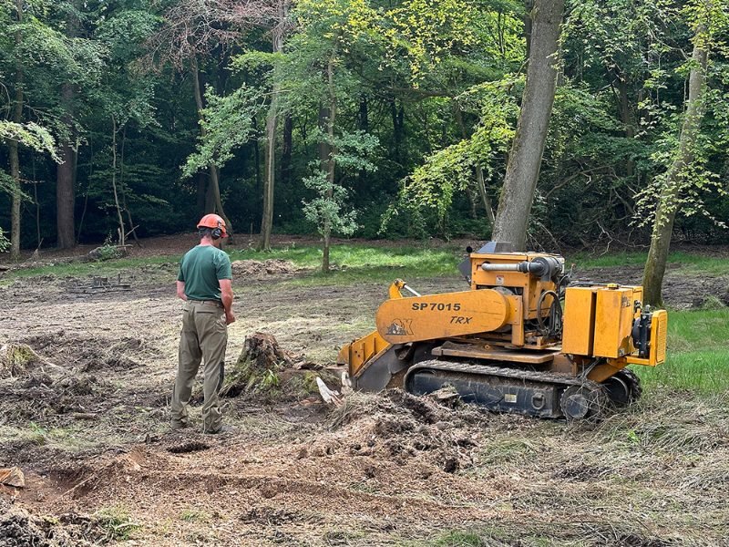 Tree Pruning in Gosport