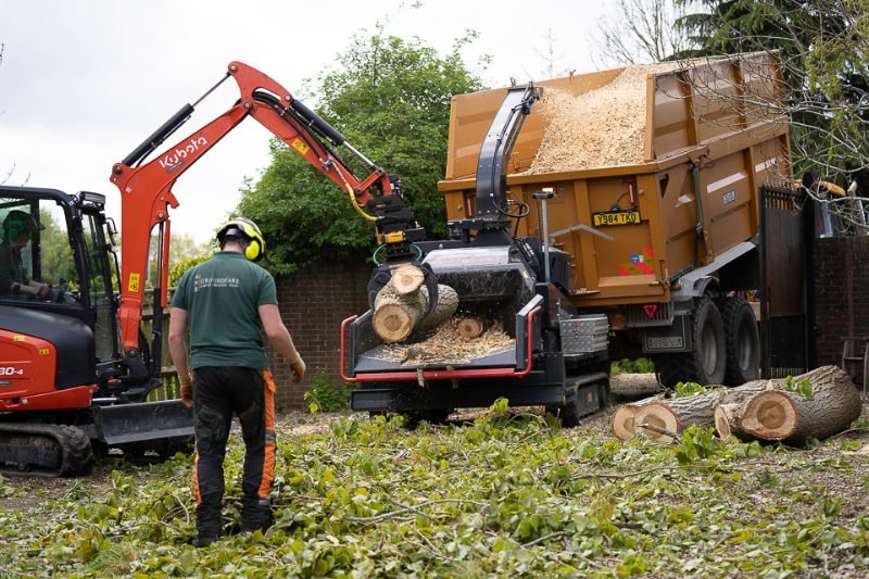 Tree Trimming in Gosport